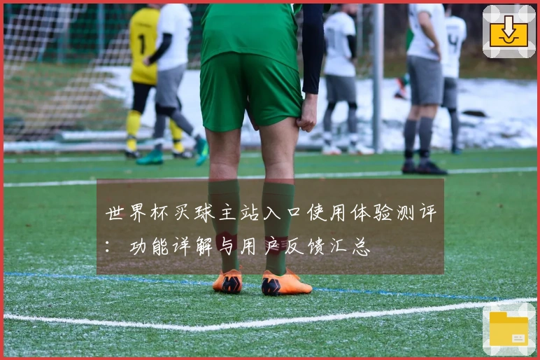 世界杯买球主站入口使用体验测评：功能详解与用户反馈汇总