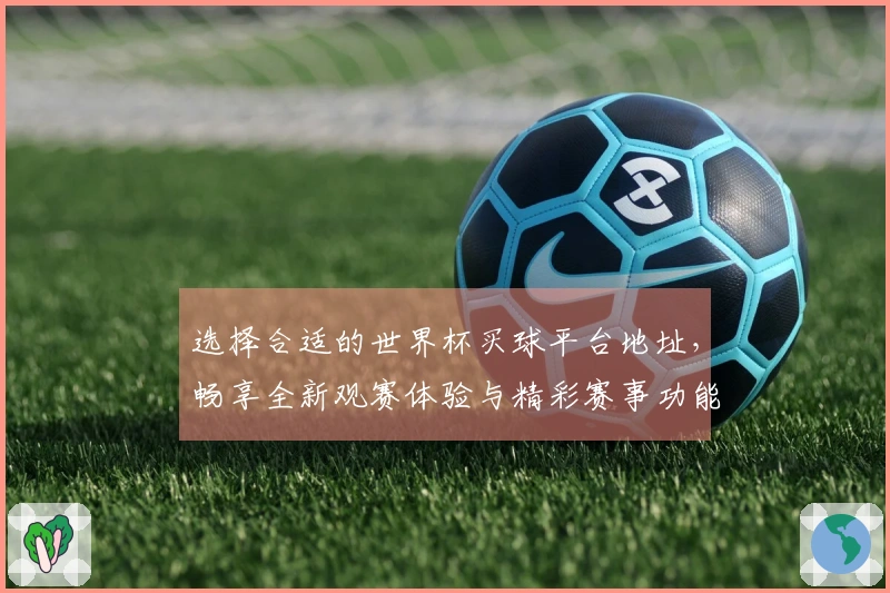 选择合适的世界杯买球平台地址，畅享全新观赛体验与精彩赛事功能解析
