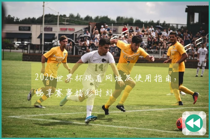 2026世界杯观看网址及使用指南，畅享赛事精彩时刻