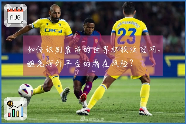 如何识别靠谱的世界杯投注官网，避免海外平台的潜在风险？