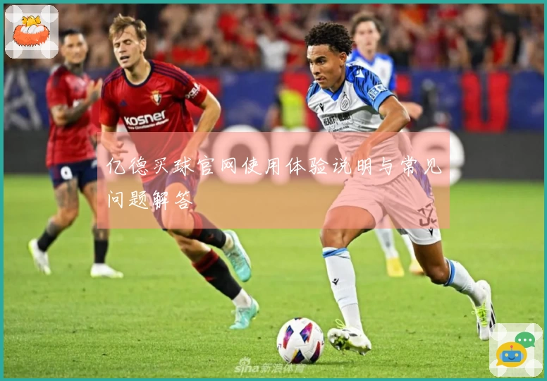 亿德买球官网使用体验说明与常见问题解答
