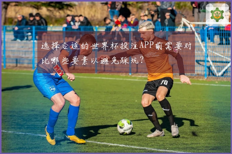 选择合适的世界杯投注APP前需要对比哪些要素以避免踩坑？