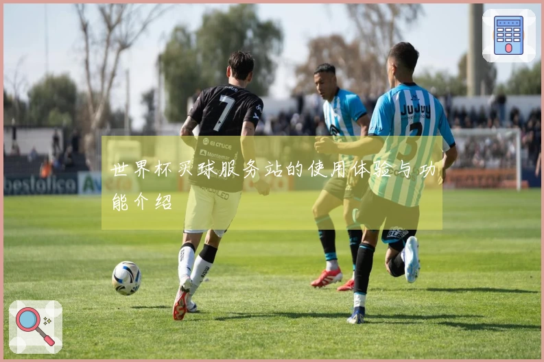 世界杯买球服务站的使用体验与功能介绍