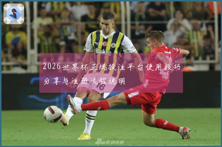 2026世界杯正规投注平台使用技巧分享与注册流程说明
