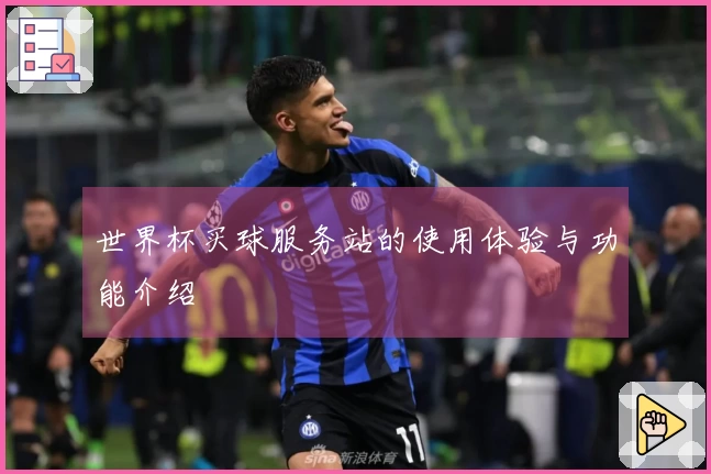 世界杯买球服务站的使用体验与功能介绍
