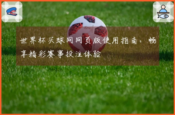 世界杯买球网网页版使用指南，畅享精彩赛事投注体验
